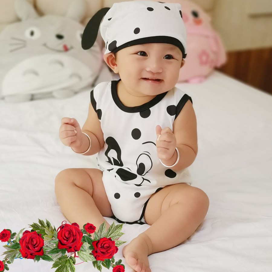 Bộ quần áo thú cưng chíp nón cho bé chó đóm