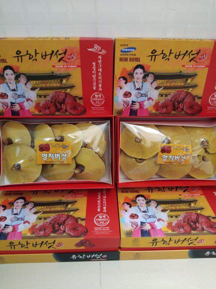 NẤM LINH CHI TAI VÀNG LOẠI 1 HỘP 1KG