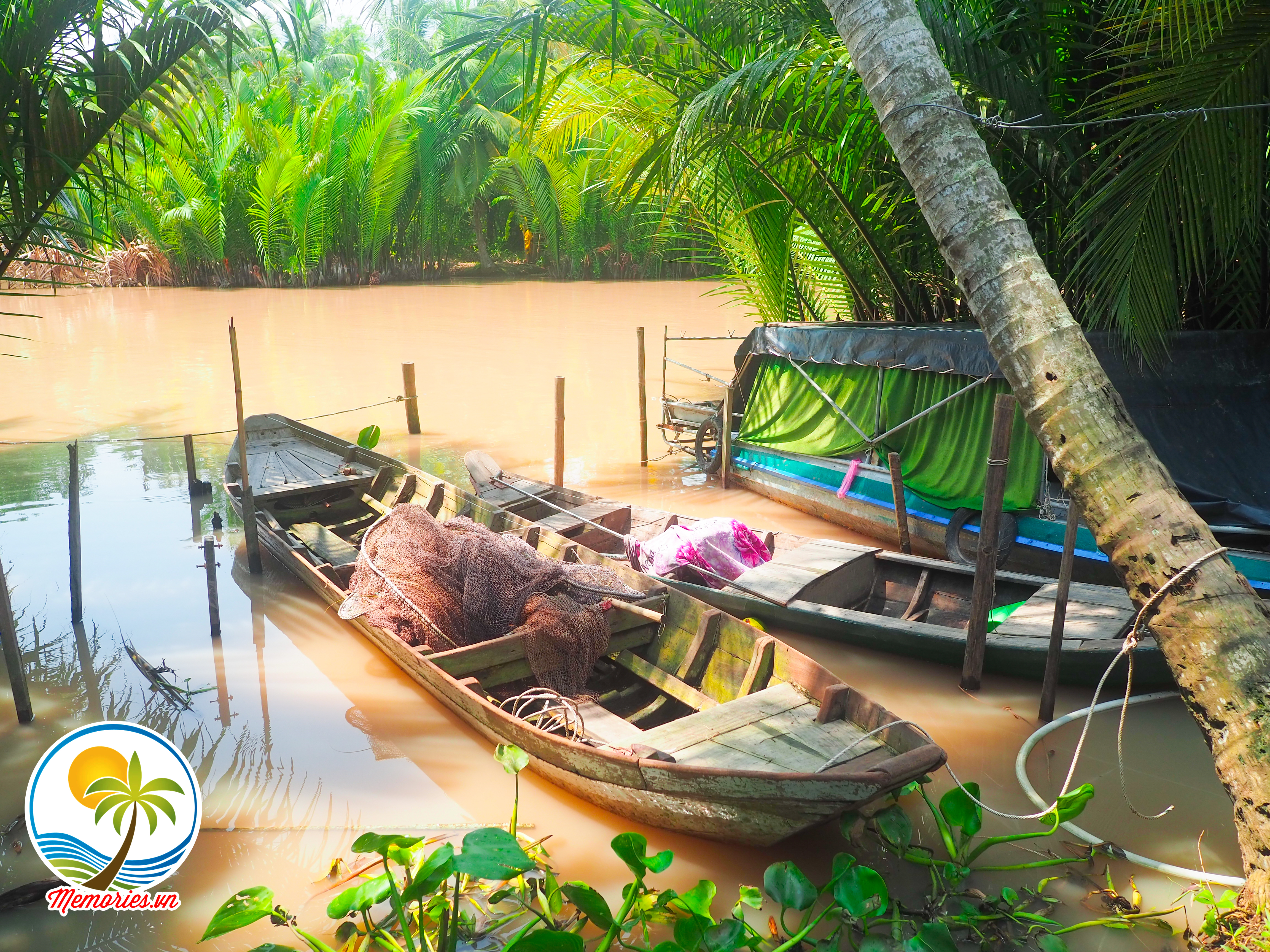 cảnh đẹp quê hương, cây dừa, quê tôi xứ dừa